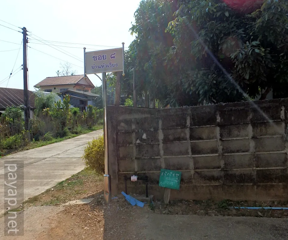 Papaya Village(パパイヤ・ヴィレッジ),チエンコーン