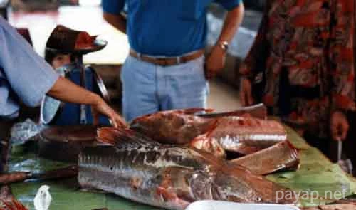 チエンコンの川魚,ナマズ,プラーブック,大鯰