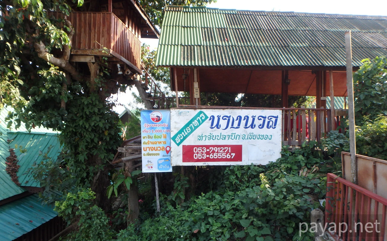 チエンライの写真,Nangnual 2020年 チエンライの写真,Nangnual 2020年