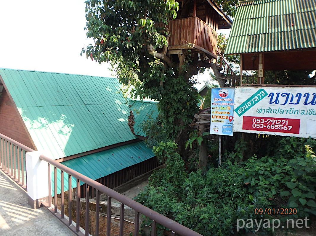 チエンライの写真,Nangnual 2020年 チエンライの写真,Nangnual 2020年