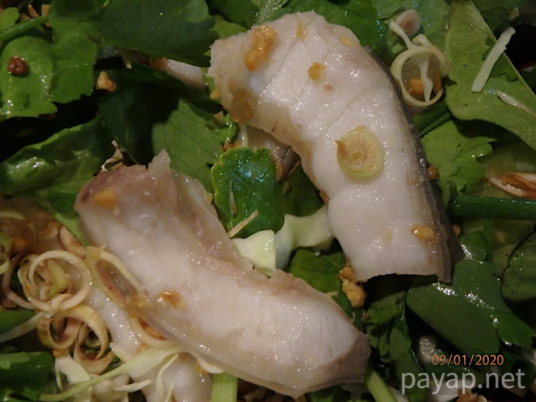 チエンライの写真,Nangnual 2020年 チエンライの写真,Nangnual 2020年