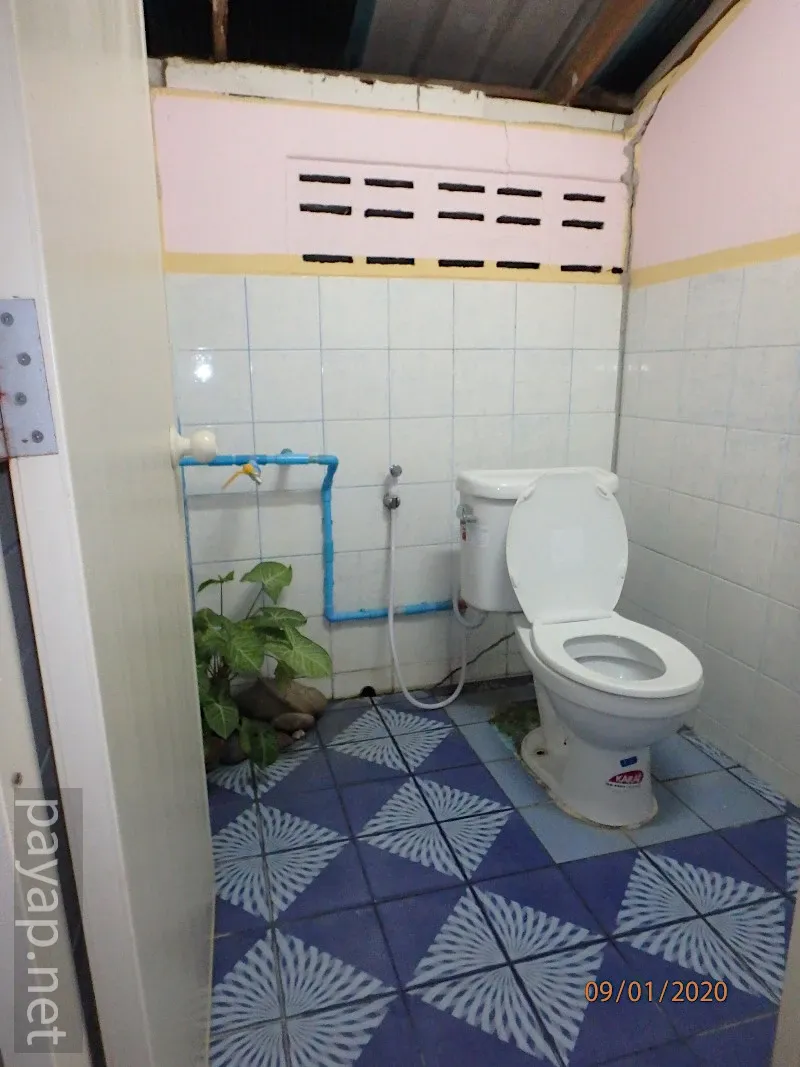 チエンライの写真,Nangnual 2020年 チエンライの写真,Nangnual 2020年