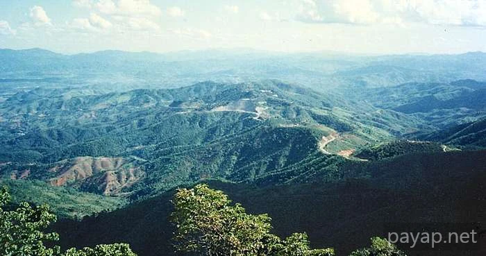 チエンラーイの山並み