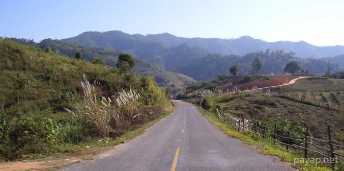 2006年1月 プチファー 2006年01月 プチファー