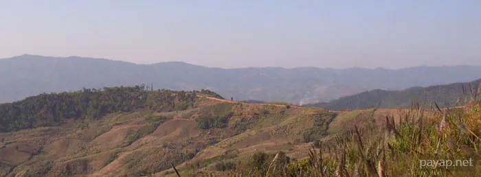 2006年1月 プチファー 2006年01月 プチファー