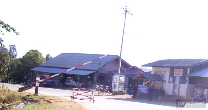 2006年1月 プチファー 2006年01月 プチファー