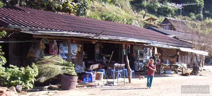 2006年1月 プチファー 2006年01月 プチファー