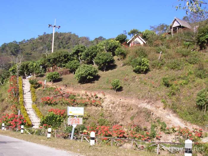 2006年01月 プチファー