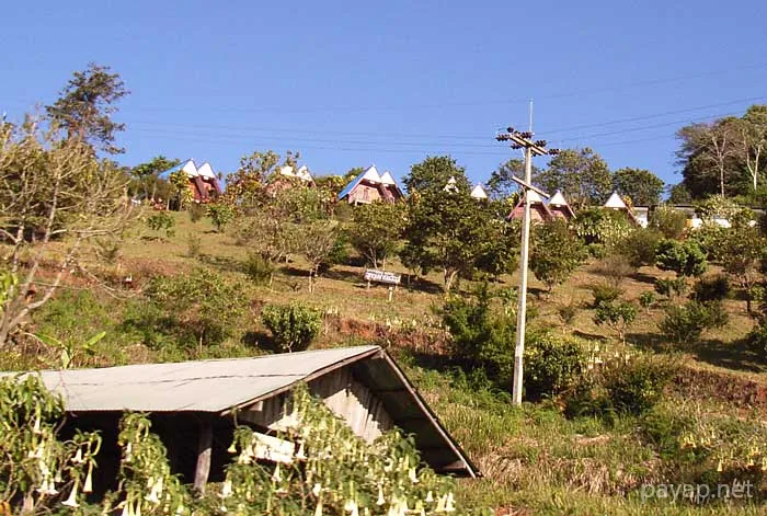 2006年1月 プチファー 2006年01月 プチファー