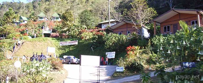 2006年01月 プチファー