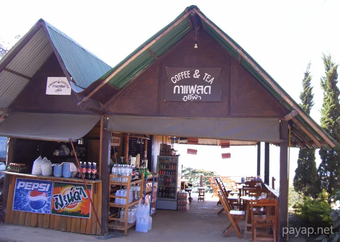 2006年1月 プチファー 2006年01月 プチファー