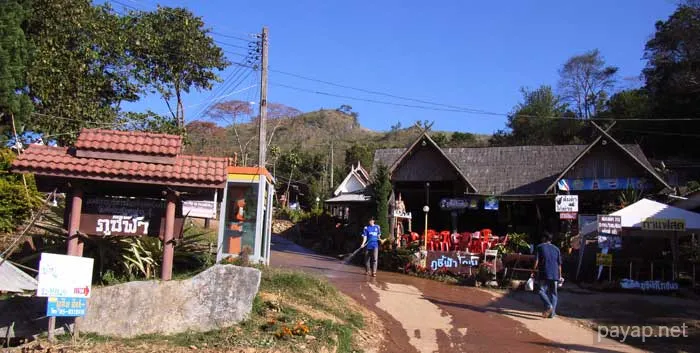 2006年01月 プチファー