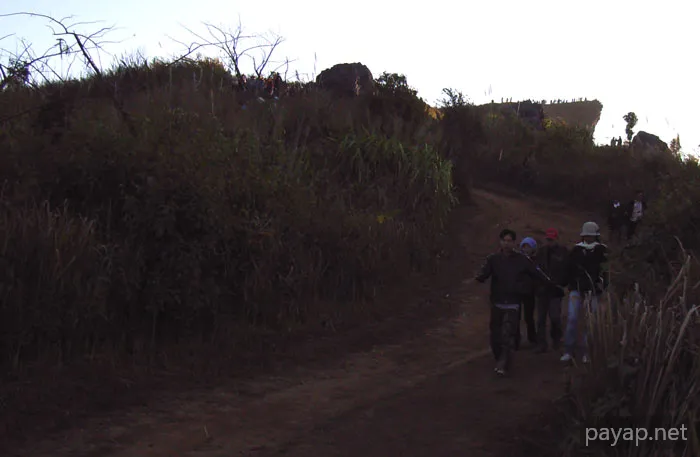 2006年01月 プチファー