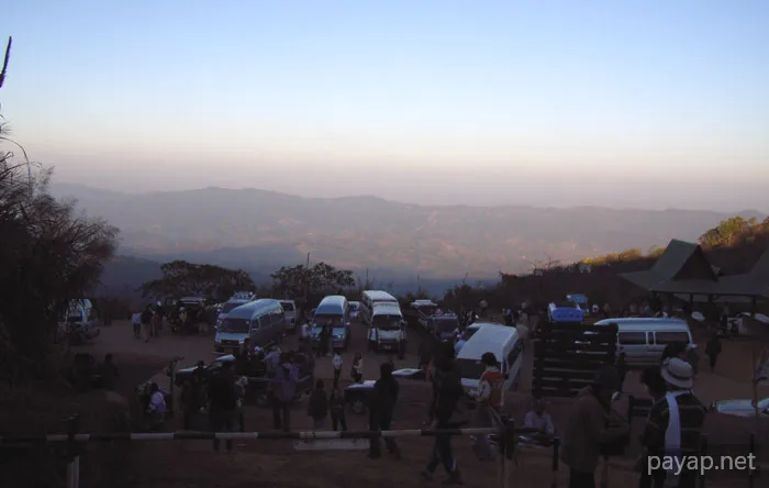 2006年1月 プチファー 2006年01月 プチファー