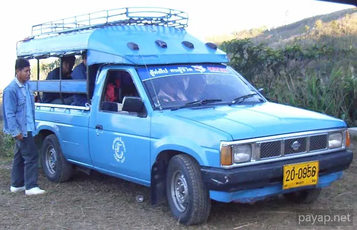 2006年1月 プチファー 2006年01月 プチファー