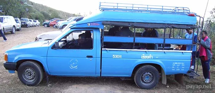 2006年1月 プチファー 2006年01月 プチファー