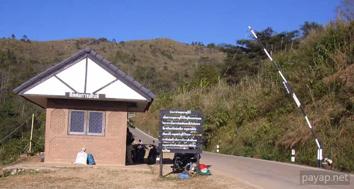 2006年01月 プチファー