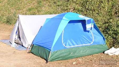 2006年01月 プチファー