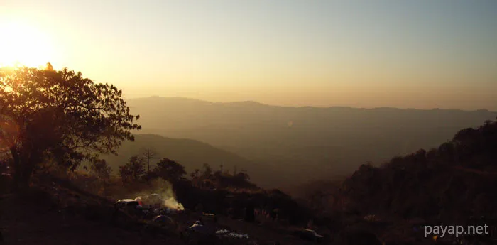 2006年01月 プチファー