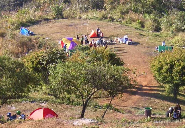 2006年01月 プチファー