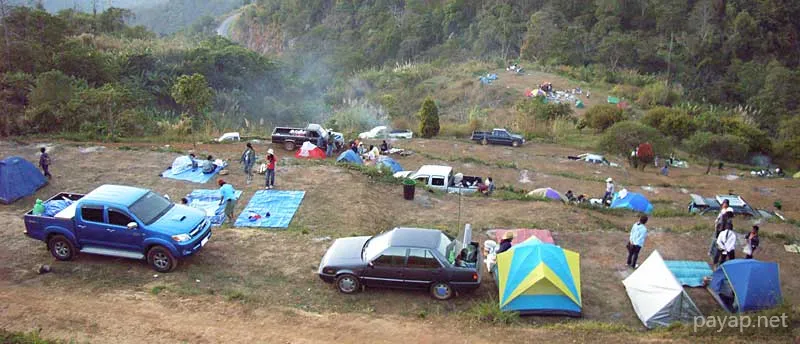 2006年01月 プチファー