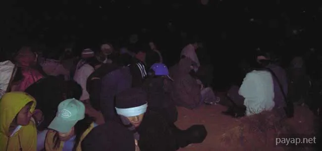 2006年1月 プチファー 2006年01月 プチファー