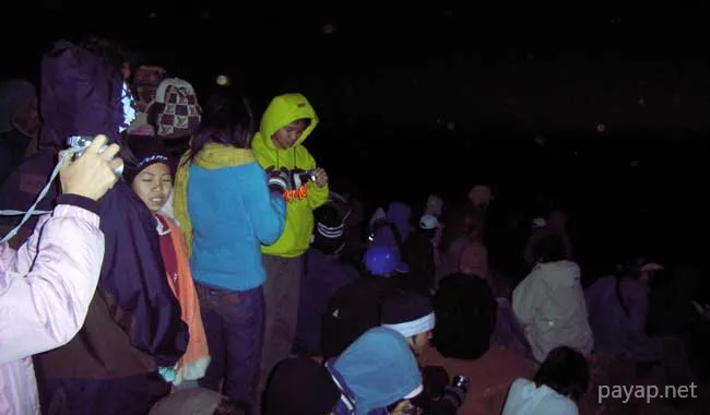 2006年1月 プチファー 2006年01月 プチファー