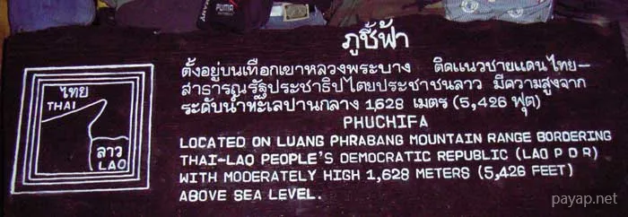 2006年01月 プチファー