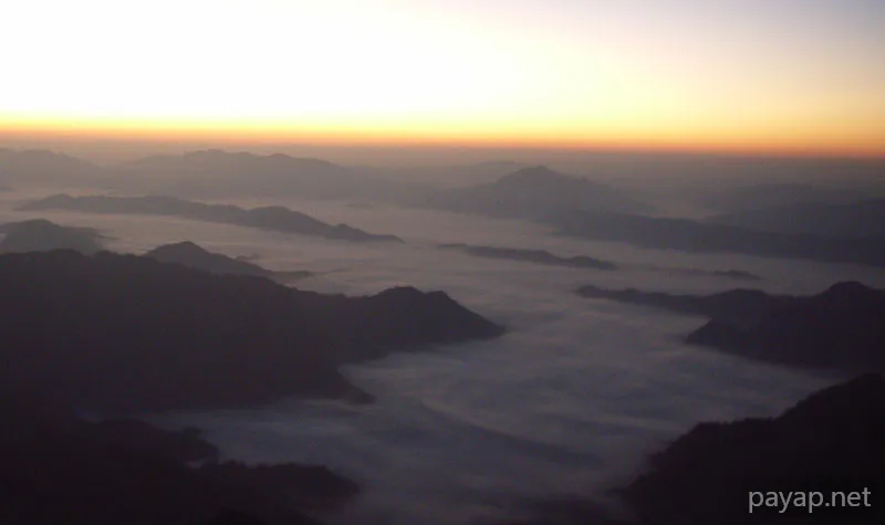 2006年01月 プチファー