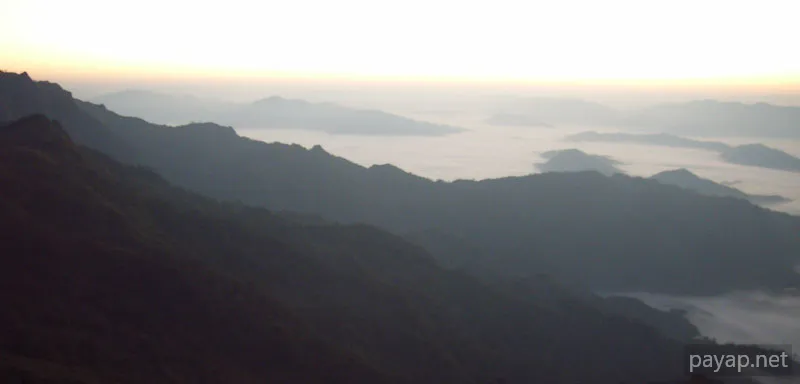 2006年01月 プチファー