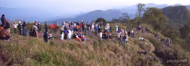 2006年01月 プチファー