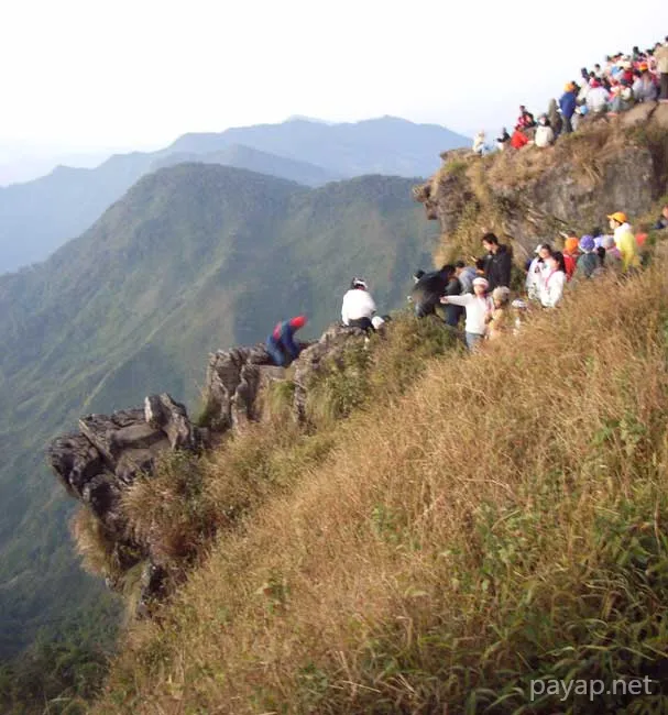 2006年01月 プチファー