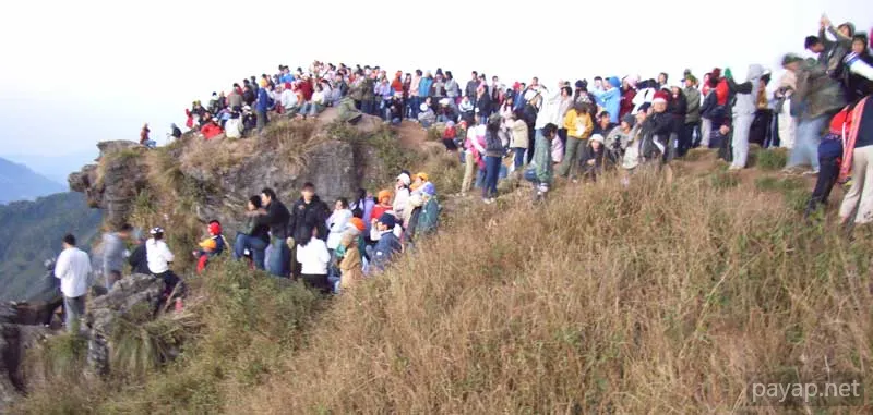 2006年01月 プチファー