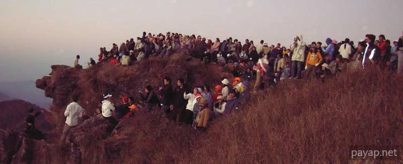 2006年01月 プチファー