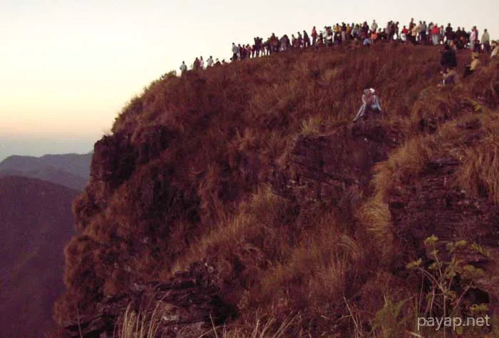 2006年01月 プチファー