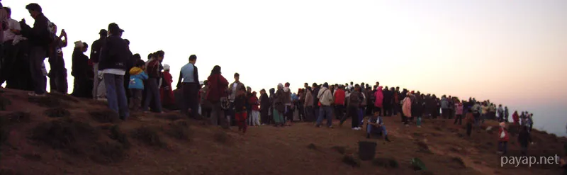 2006年01月 プチファー