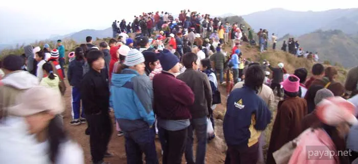 2006年01月 プチファー