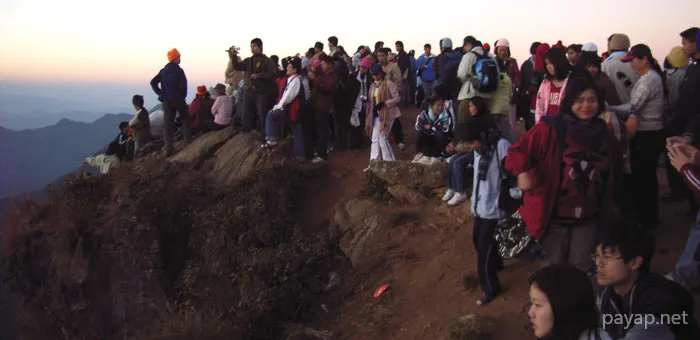 2006年01月 プチファー