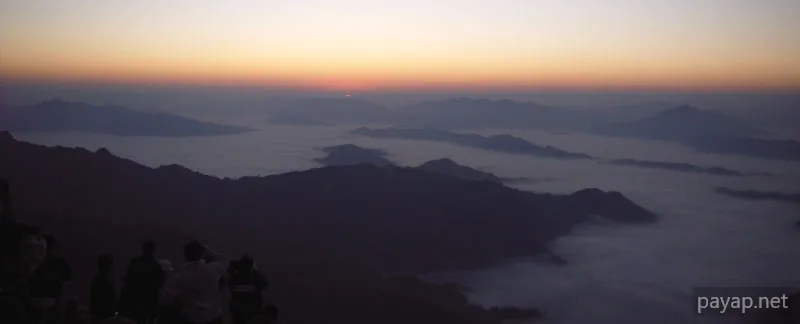 2006年01月 プチファー