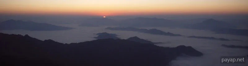 2006年01月 プチファー