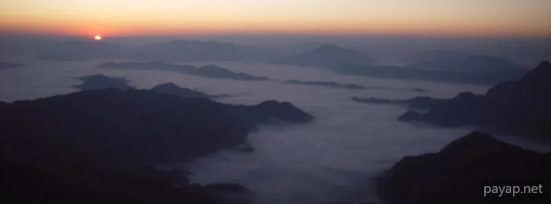 2006年01月 プチファー