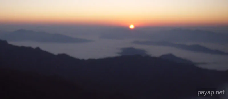 2006年01月 プチファー