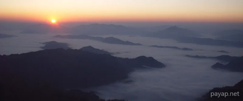 2006年01月 プチファー