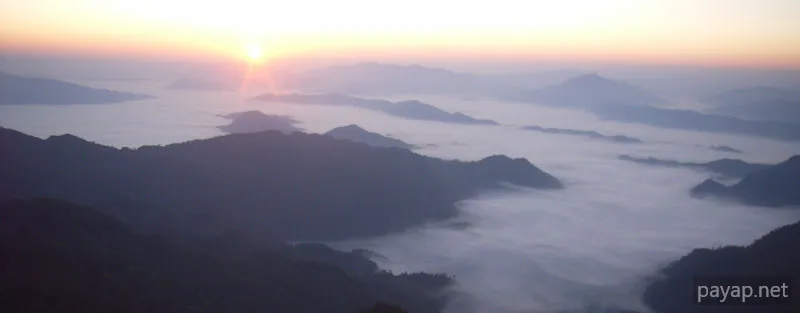 2006年01月 プチファー