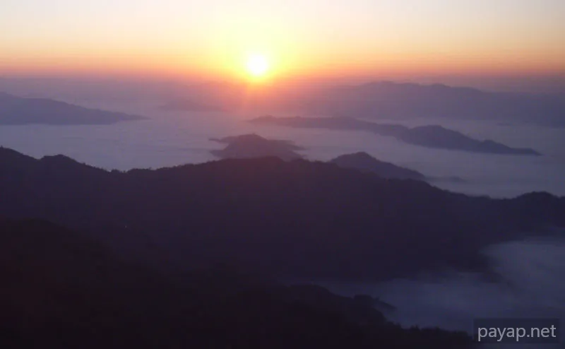 2006年01月 プチファー