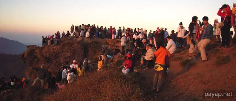 2006年01月 プチファー