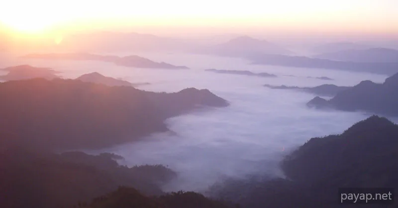 2006年01月 プチファー