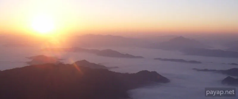 2006年01月 プチファー