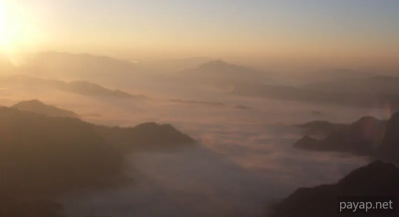 2006年01月 プチファー