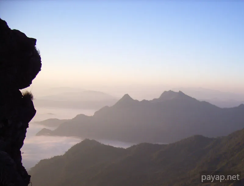 2006年01月 プチファー